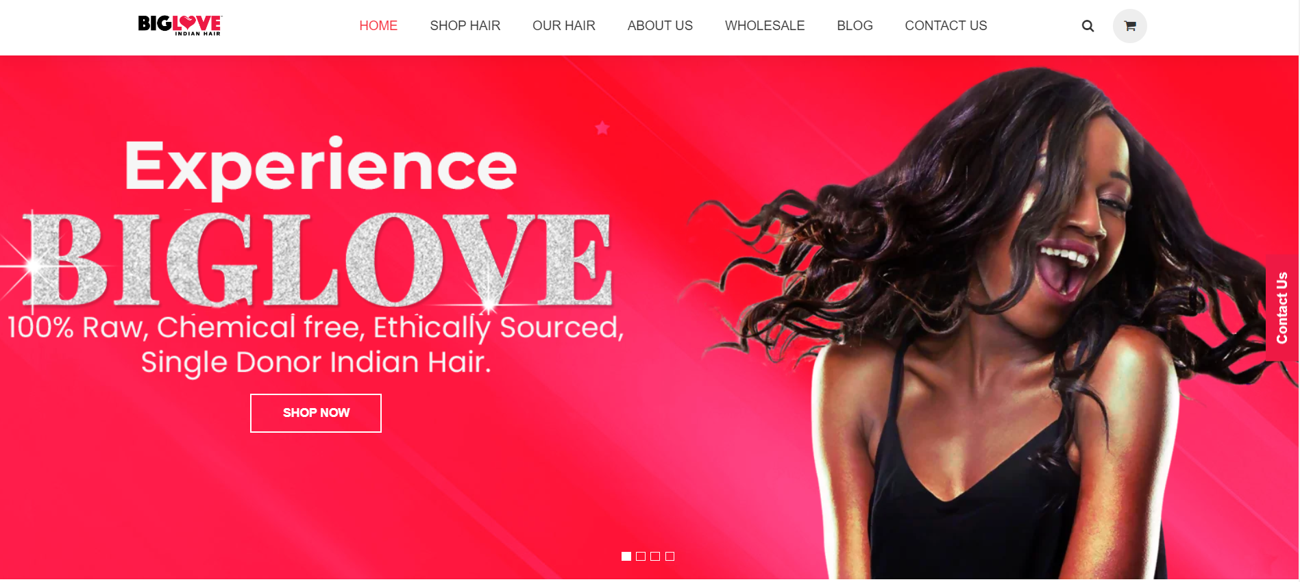Website Of Big Love India