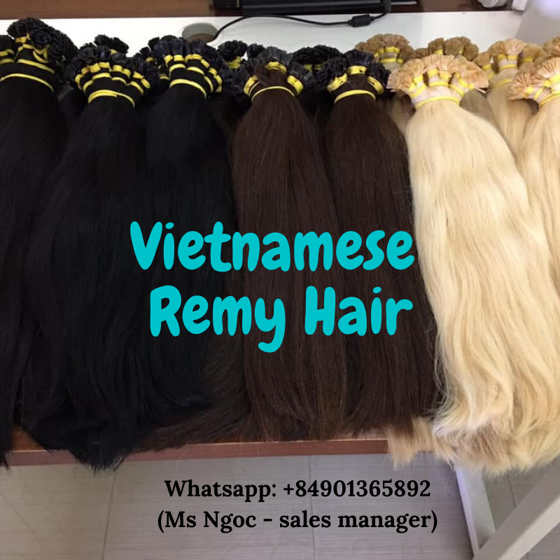 Vietnamese remy hair extensions