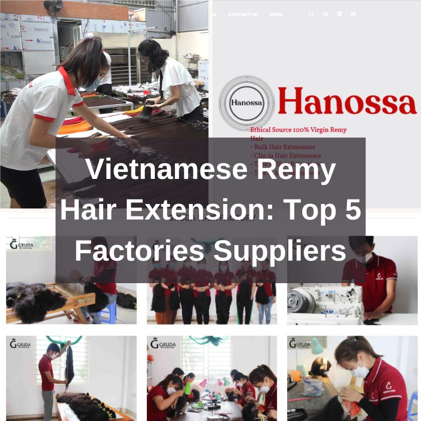 Vietnamese Remy Hair Extension Top 5 Factories Suppliers